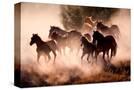 Stretched Canvas