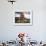 Lisa Eaton Holds a Downward Dog Yoga Pose on the Beach of Lincoln Park - West Seattle, Washington-Dan Holz-Framed Photographic Print displayed on a wall