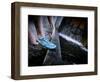 Lisa Eaton Laces Up Her Running Shoe Near a Water Feature at Freeway Park - Seattle, Washington-Dan Holz-Framed Photographic Print