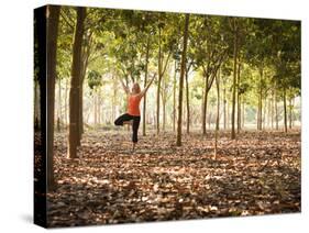 Lisa Eaton Practices Tree Pose in a Rubber Tree Plantation -Chiang Dao, Thaialand-Dan Holz-Stretched Canvas