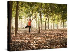 Lisa Eaton Practices Tree Pose in a Rubber Tree Plantation -Chiang Dao, Thaialand-Dan Holz-Stretched Canvas