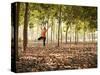 Lisa Eaton Practices Tree Pose in a Rubber Tree Plantation -Chiang Dao, Thaialand-Dan Holz-Stretched Canvas