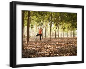 Lisa Eaton Practices Tree Pose in a Rubber Tree Plantation -Chiang Dao, Thaialand-Dan Holz-Framed Photographic Print