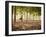 Lisa Eaton Practices Tree Pose in a Rubber Tree Plantation -Chiang Dao, Thaialand-Dan Holz-Framed Photographic Print