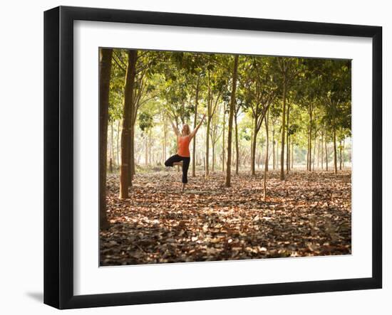 Lisa Eaton Practices Tree Pose in a Rubber Tree Plantation -Chiang Dao, Thaialand-Dan Holz-Framed Photographic Print