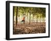 Lisa Eaton Practices Tree Pose in a Rubber Tree Plantation -Chiang Dao, Thaialand-Dan Holz-Framed Photographic Print