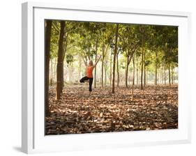 Lisa Eaton Practices Tree Pose in a Rubber Tree Plantation -Chiang Dao, Thaialand-Dan Holz-Framed Photographic Print