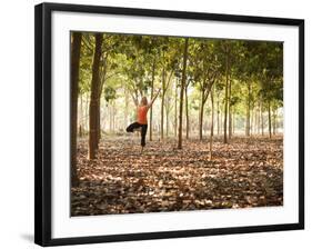 Lisa Eaton Practices Tree Pose in a Rubber Tree Plantation -Chiang Dao, Thaialand-Dan Holz-Framed Photographic Print