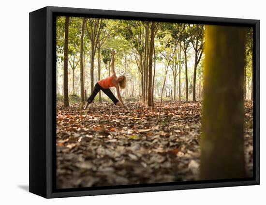 Lisa Eaton Takes Her Yoga Practice to a Rubber Tree Plantation in Chiang Dao, Thaialand-Dan Holz-Framed Stretched Canvas
