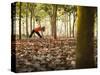 Lisa Eaton Takes Her Yoga Practice to a Rubber Tree Plantation in Chiang Dao, Thaialand-Dan Holz-Stretched Canvas