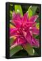 Essential Black