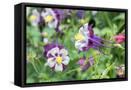 Canvas Black