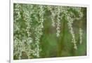 Gramercy White