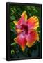 Essential Black