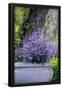 Essential Black