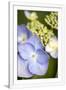 Gramercy White
