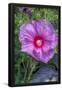 Essential Black