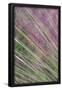 Essential Black