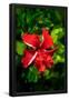 Essential Black