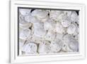 Gramercy White