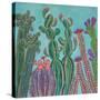 Stretched Canvas