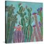 Stretched Canvas