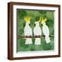 Brown Frame