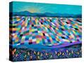 Stretched Canvas