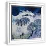 White Frame