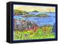 Framed Canvas