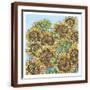 Brown Frame