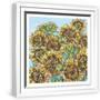 White Frame