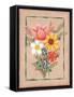 Framed Canvas