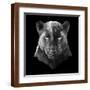 Brown Frame