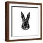 Brown Frame