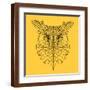 Brown Frame