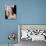 Lisa Kudrow-null-Photo displayed on a wall