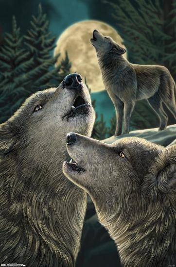 Poster, , large
