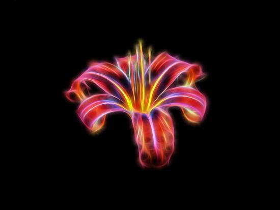 Photographic Print, , large