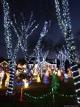 Christmas Lights, Saugus, Massachussets-Lisa Poole-Laminated Photographic Print