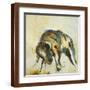 Brown Frame