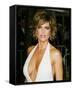 Lisa Rinna-null-Framed Stretched Canvas