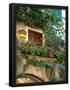 Essential Black