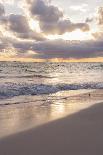 Beach Roses Along Marginal Way, Ogunquit, Maine, USA-Lisa S^ Engelbrecht-Photographic Print