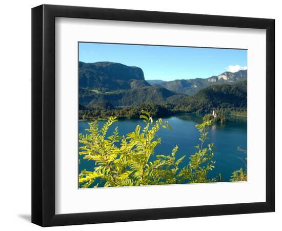 Premium Photographic Print, , large