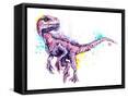 Framed Canvas