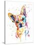 Stretched Canvas