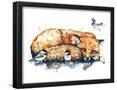 Chelsea Black