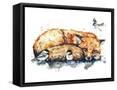 Framed Canvas