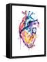 Framed Canvas